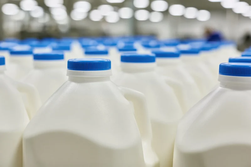 Rows of white plastic milk jugs with blue caps on a conveyor line in a factory