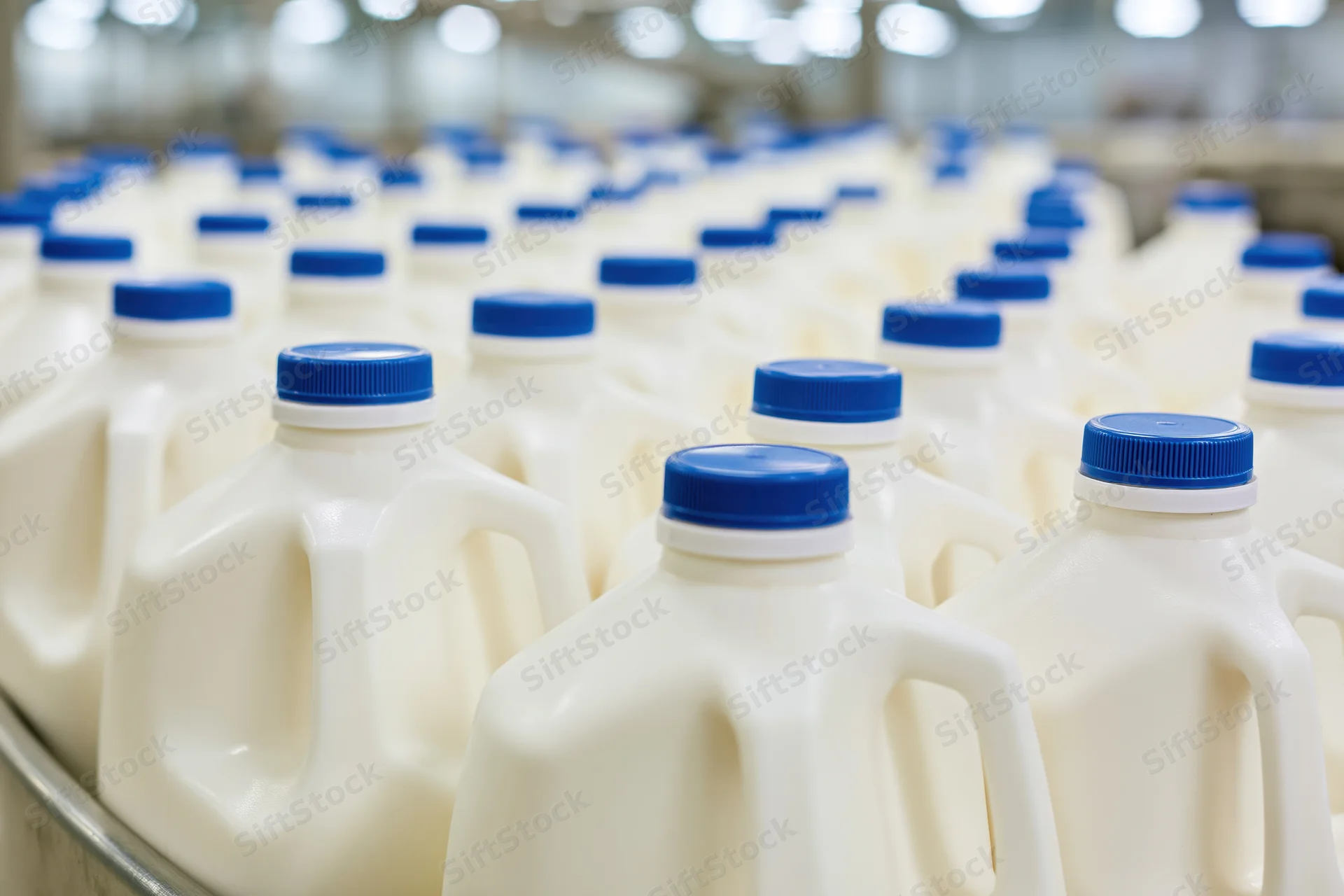 Rows of white plastic milk jugs with blue caps on a conveyor in a dairy processing plant
