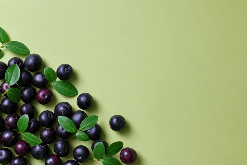 Acai berries and green leaves scattered on a green surface in a flat lay arrangement