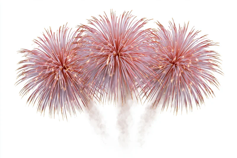 Three pink fireworks bursting simultaneously against a white background