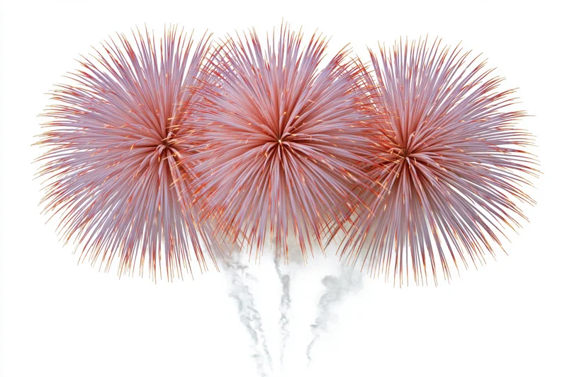 Three red and pink fireworks bursting simultaneously against a white background with smoke trails
