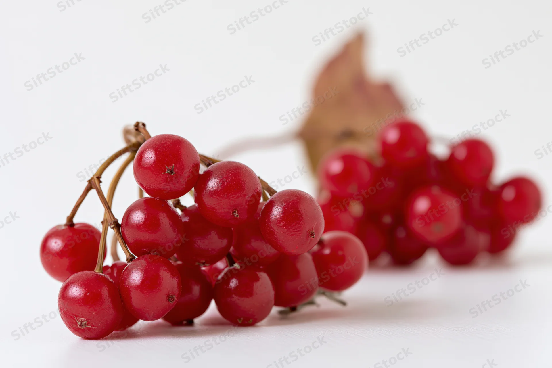 Two clusters of red viburnum berries on a white surface with one leaf in soft focus behind
