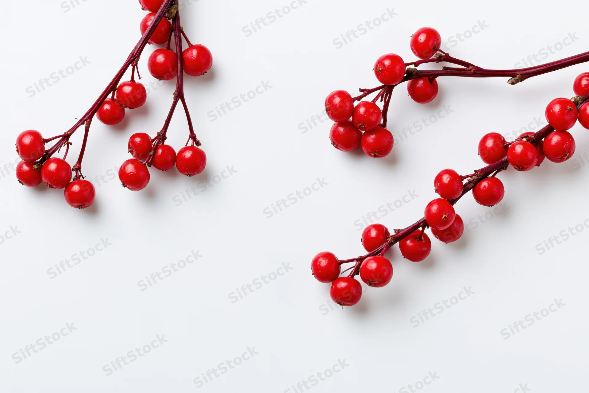 Two small branches of glossy red winter berries arranged diagonally on white background