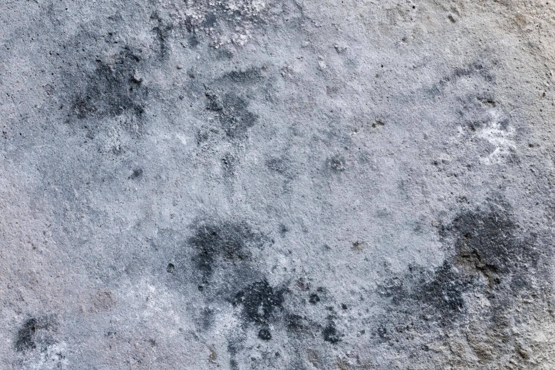 Weathered concrete surface with dark moisture stains and rough texture