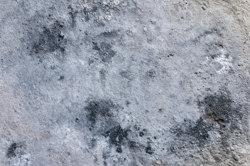 Weathered concrete surface with dark moisture stains and rough texture