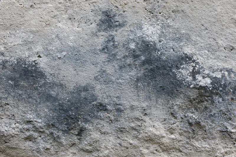 Weathered concrete surface with dark moisture stains and rough texture