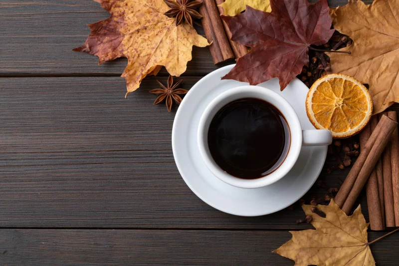 White ceramic coffee cup on saucer surrounded by autumn leaves and spices on dark wooden table