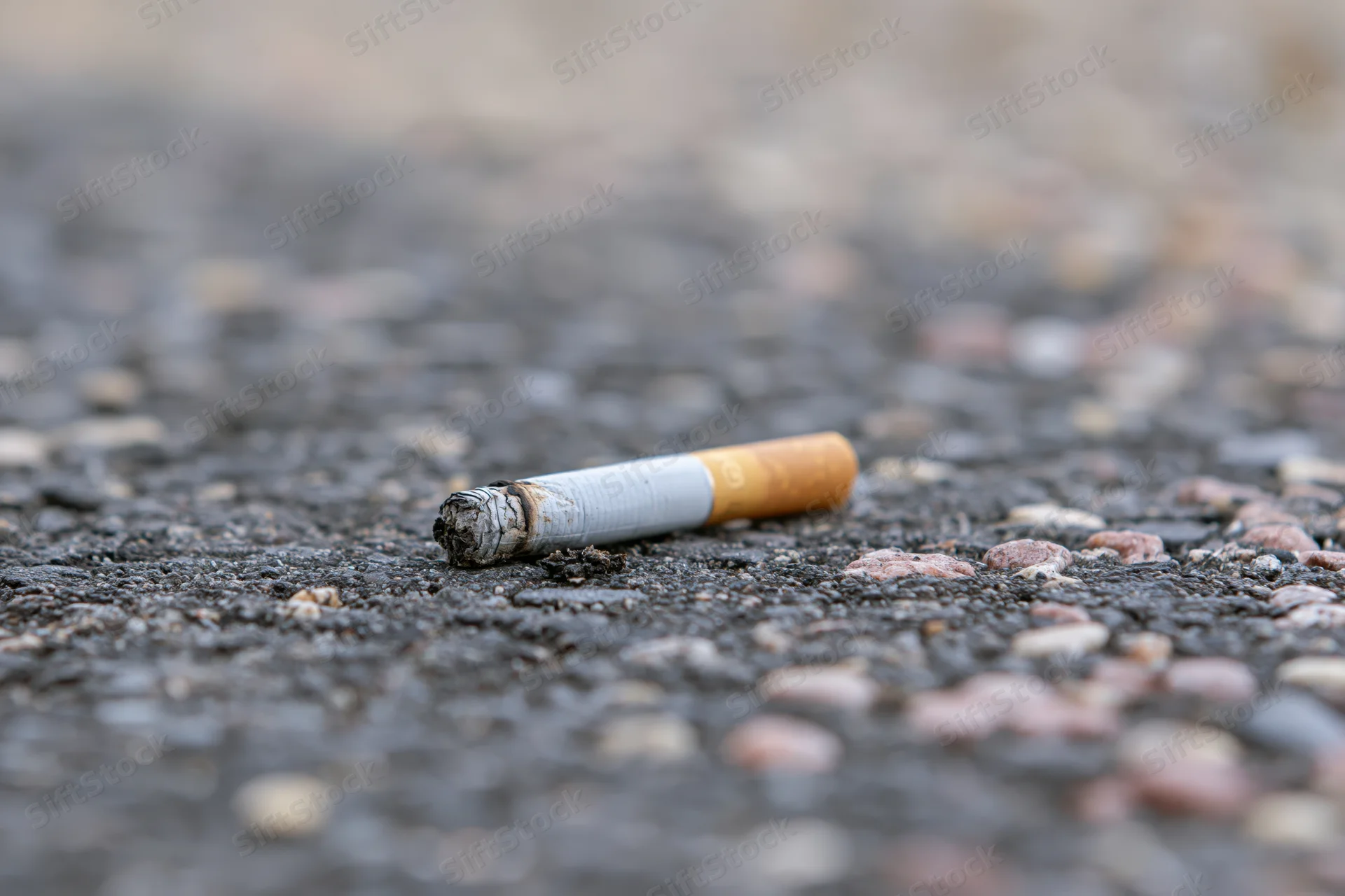 Discarded cigarette butt lying on rough asphalt pavement