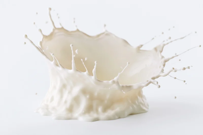 Milk splash frozen in midair against white background