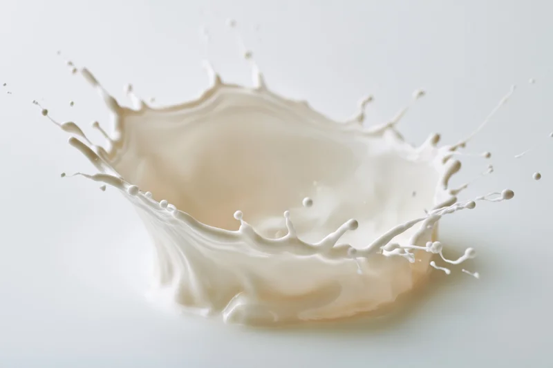 Milk splash frozen in motion against white background