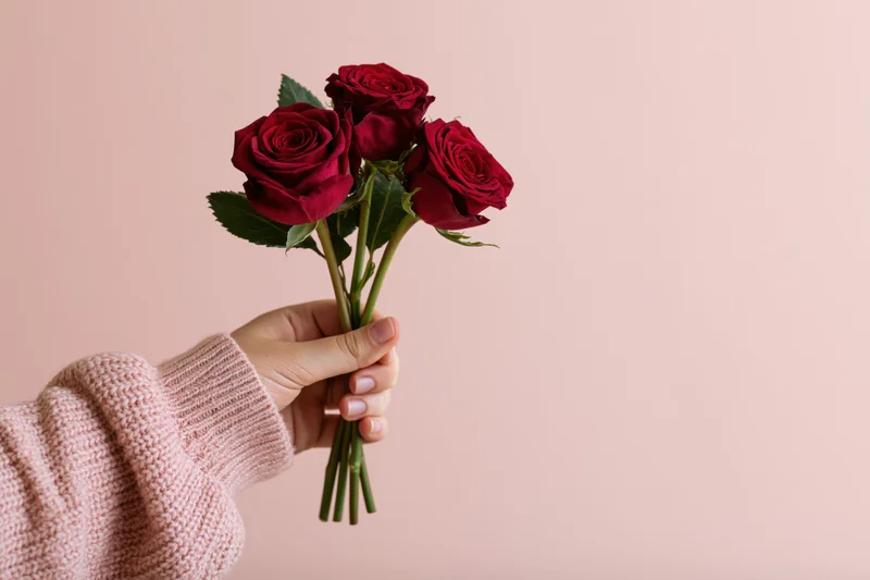 Hand holding a small bouquet of red roses against a pink background