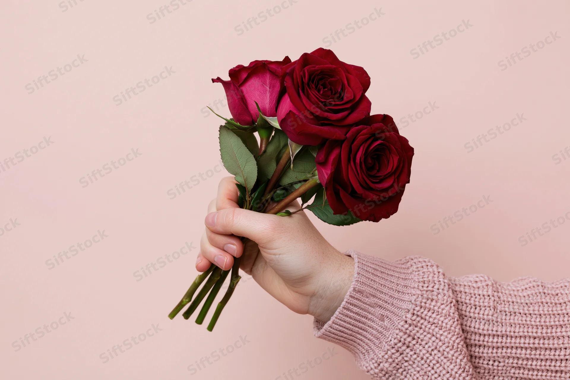 Hand holding a small bouquet of red roses against a pink background