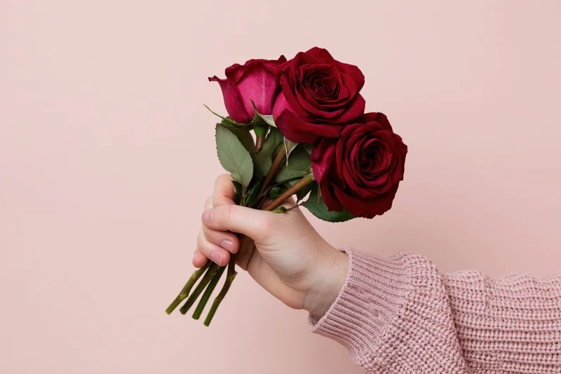 Hand holding a small bouquet of red roses against a pink background