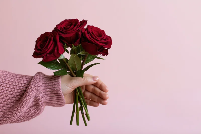 Hand holding a small bouquet of red roses against a pink background