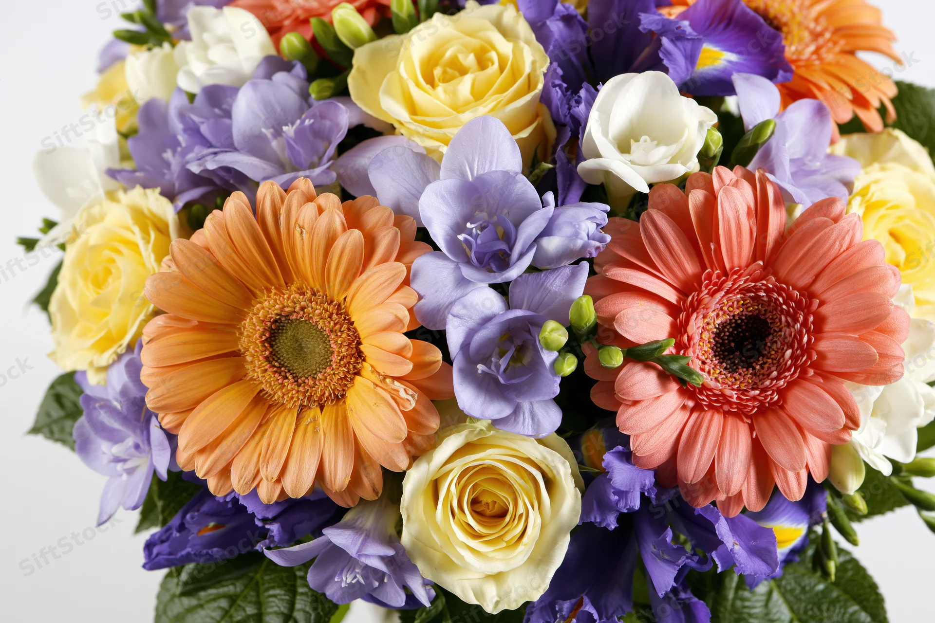A dense mixed bouquet of gerbera daisies, roses, and freesia arranged with green foliage on a white background