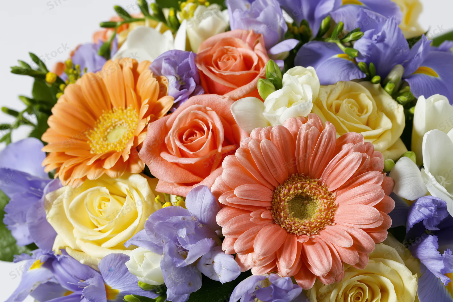 Dense mixed bouquet of gerbera daisies, roses, and irises in pastel shades on white background