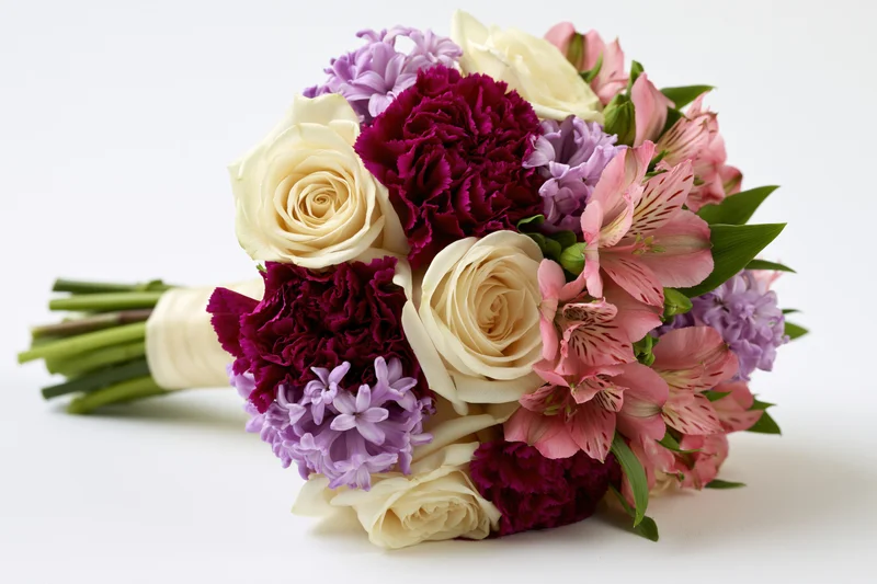 Mixed flower bouquet lying on its side with cream roses, purple carnations, pink alstroemeria, and green stems wrapped in ribbon on white background