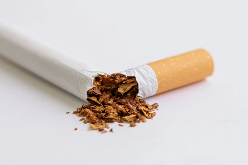 Broken cigarette with tobacco spilling out on white surface