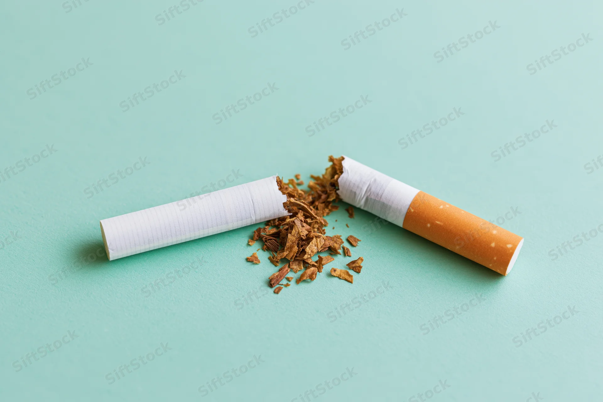 Broken cigarette with spilled tobacco on mint background