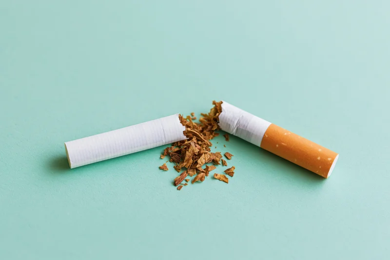 Broken cigarette with spilled tobacco on mint background