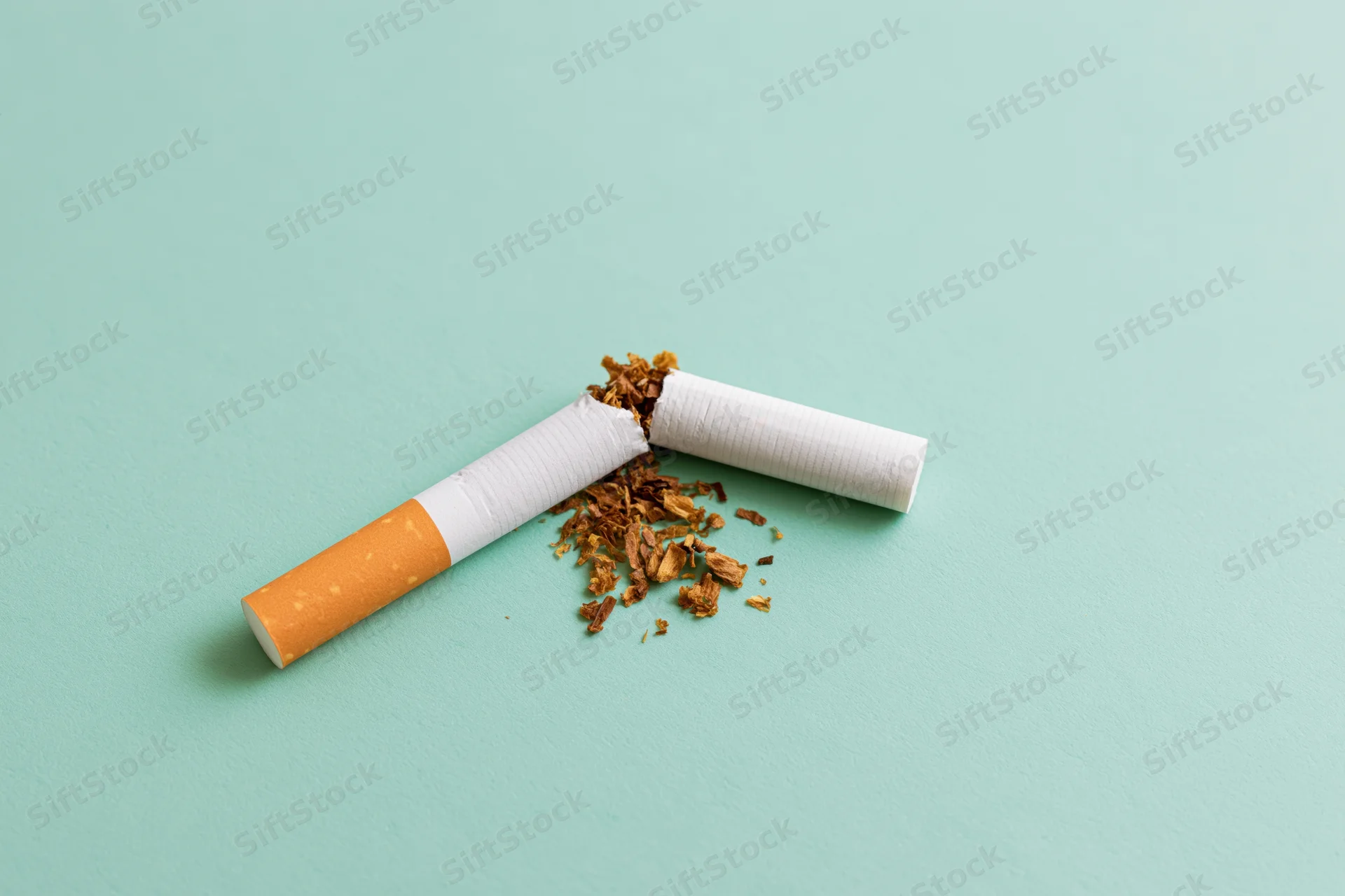 Broken cigarette with tobacco spilling on mint green surface