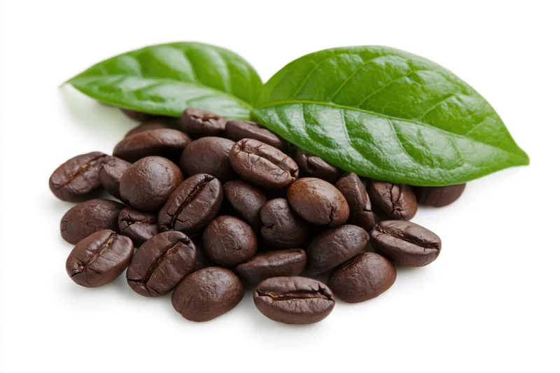 Roasted coffee beans with green leaves on white background