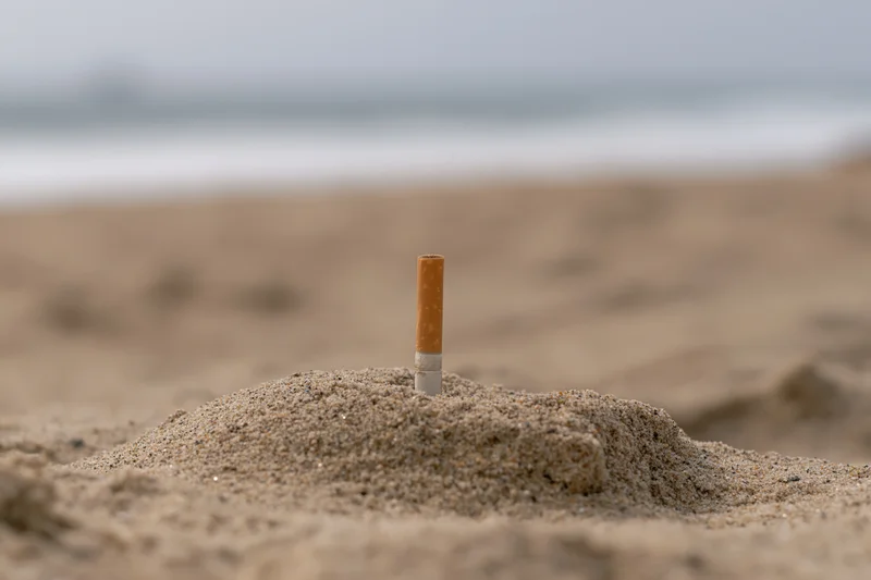 Cigarette butt stuck upright in sand mound on beach near ocean