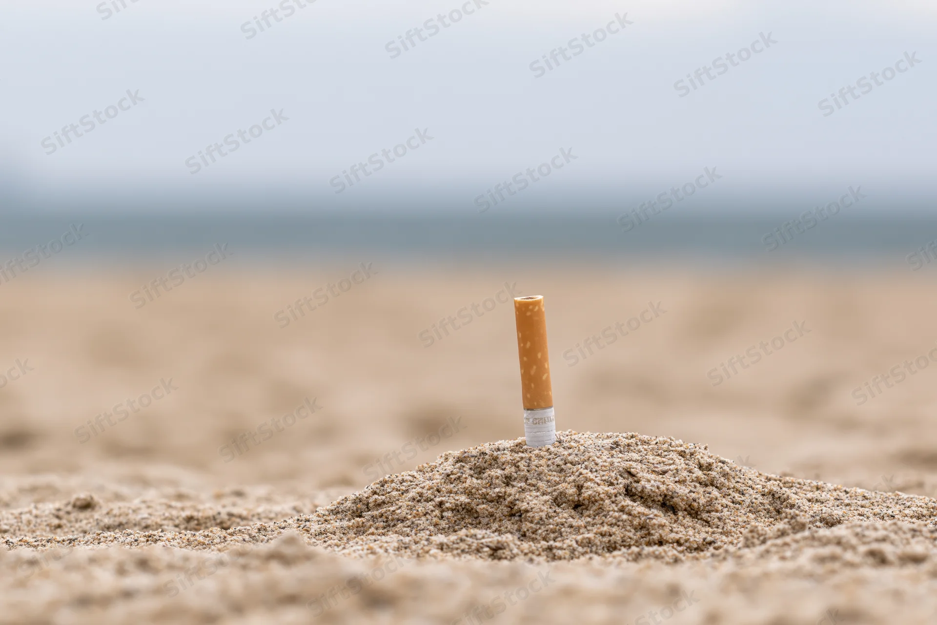 Cigarette butt stuck upright in a mound of sand on a beach