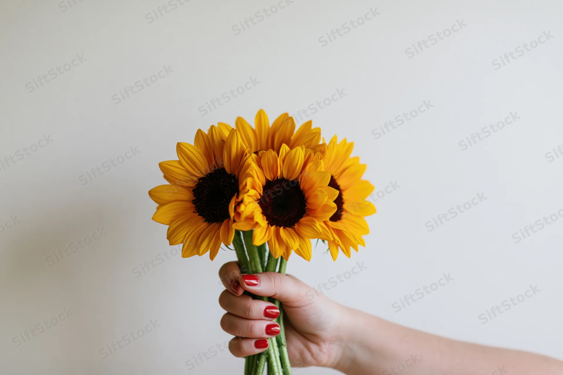 Woman's hand holding a small bouquet of sunflowers against a plain background