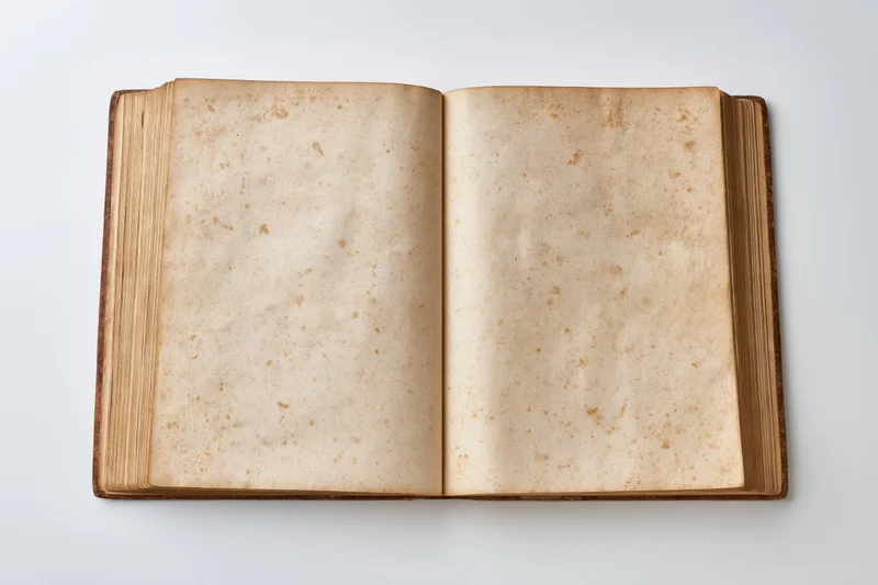 Open antique book with blank aged pages on white surface
