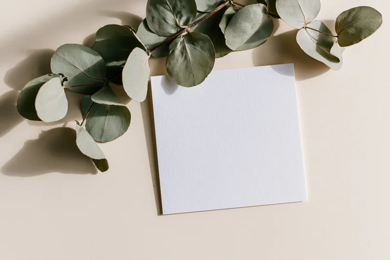 Blank white card resting flat on dried eucalyptus branch on beige surface