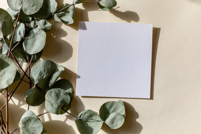 Blank white square card resting flat on dried eucalyptus branches on beige surface