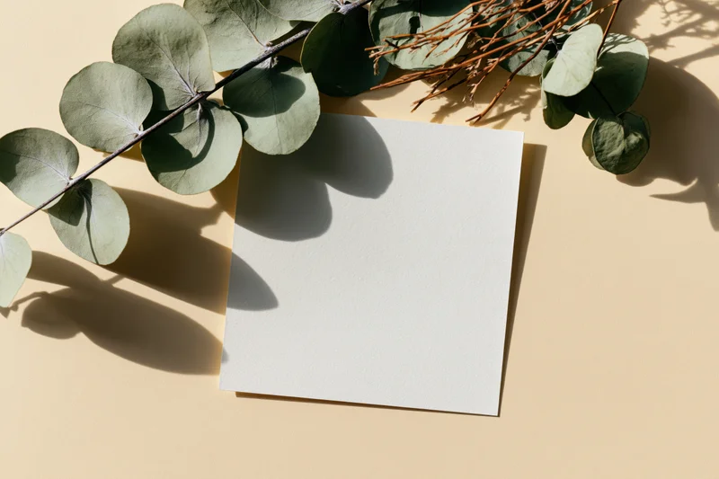 Blank white card resting flat on dried eucalyptus branches on beige surface
