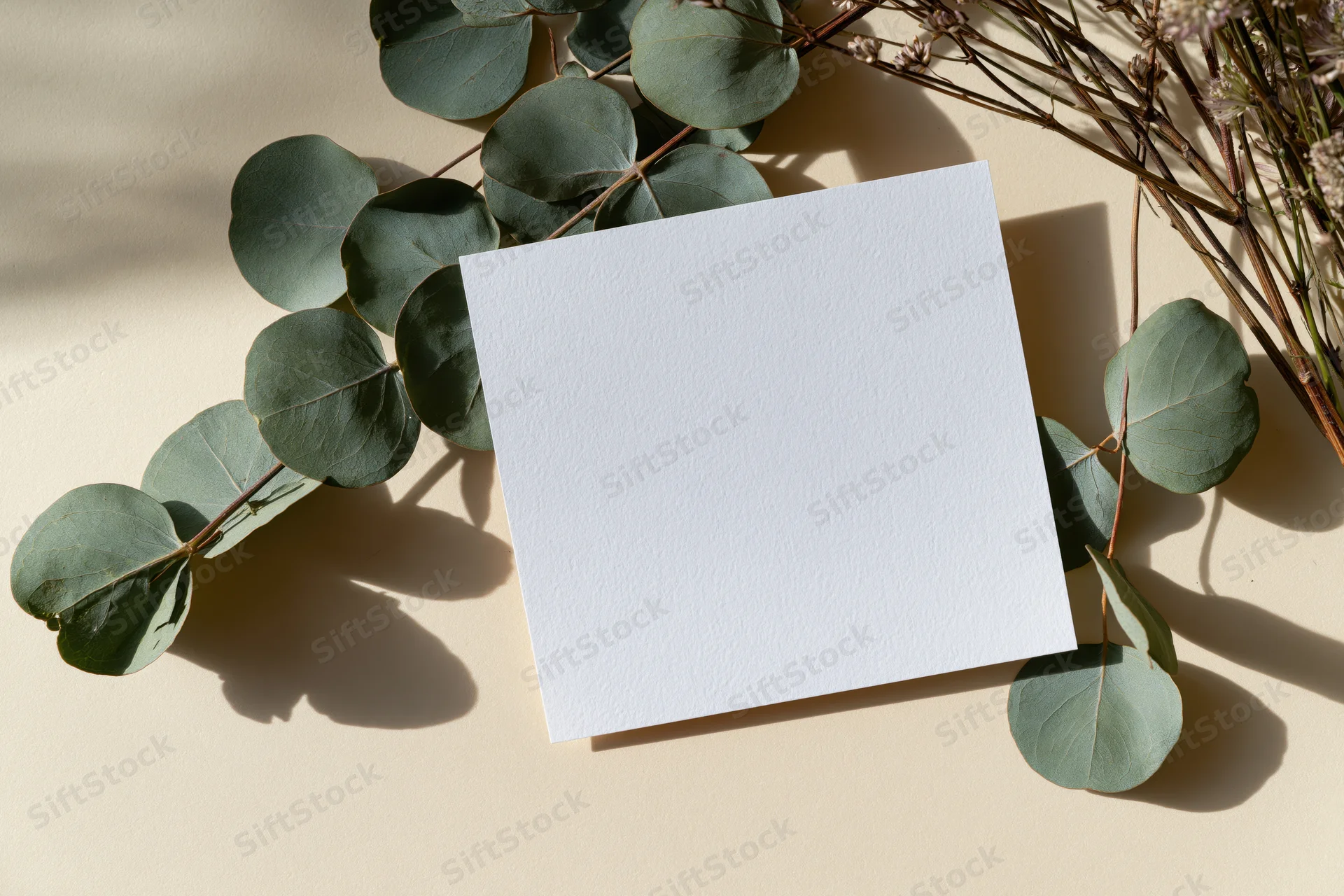 Blank white card on dried eucalyptus branches on beige surface
