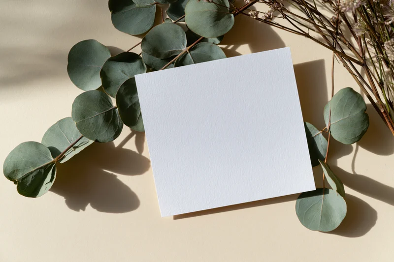 Blank white card on dried eucalyptus branches on beige surface