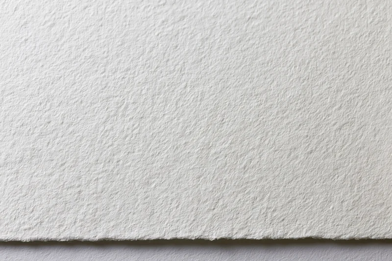 Close-up of white watercolor paper texture with torn edge showing fibrous surface