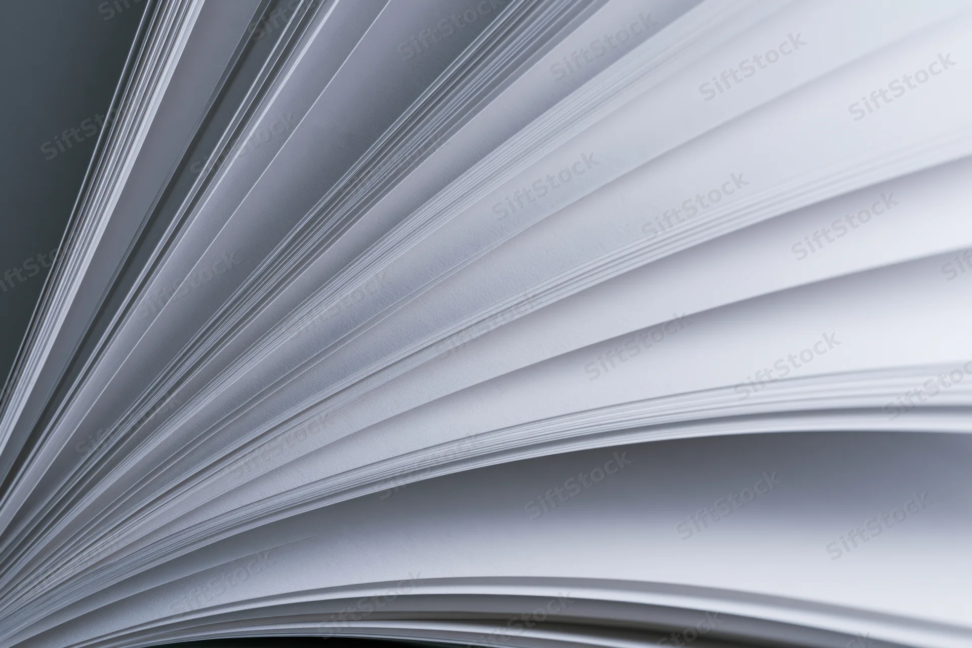 Fanned open book pages curving outward in close-up macro view