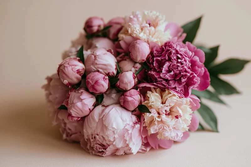 Dense bouquet of pink peonies in various stages of bloom on a soft beige surface