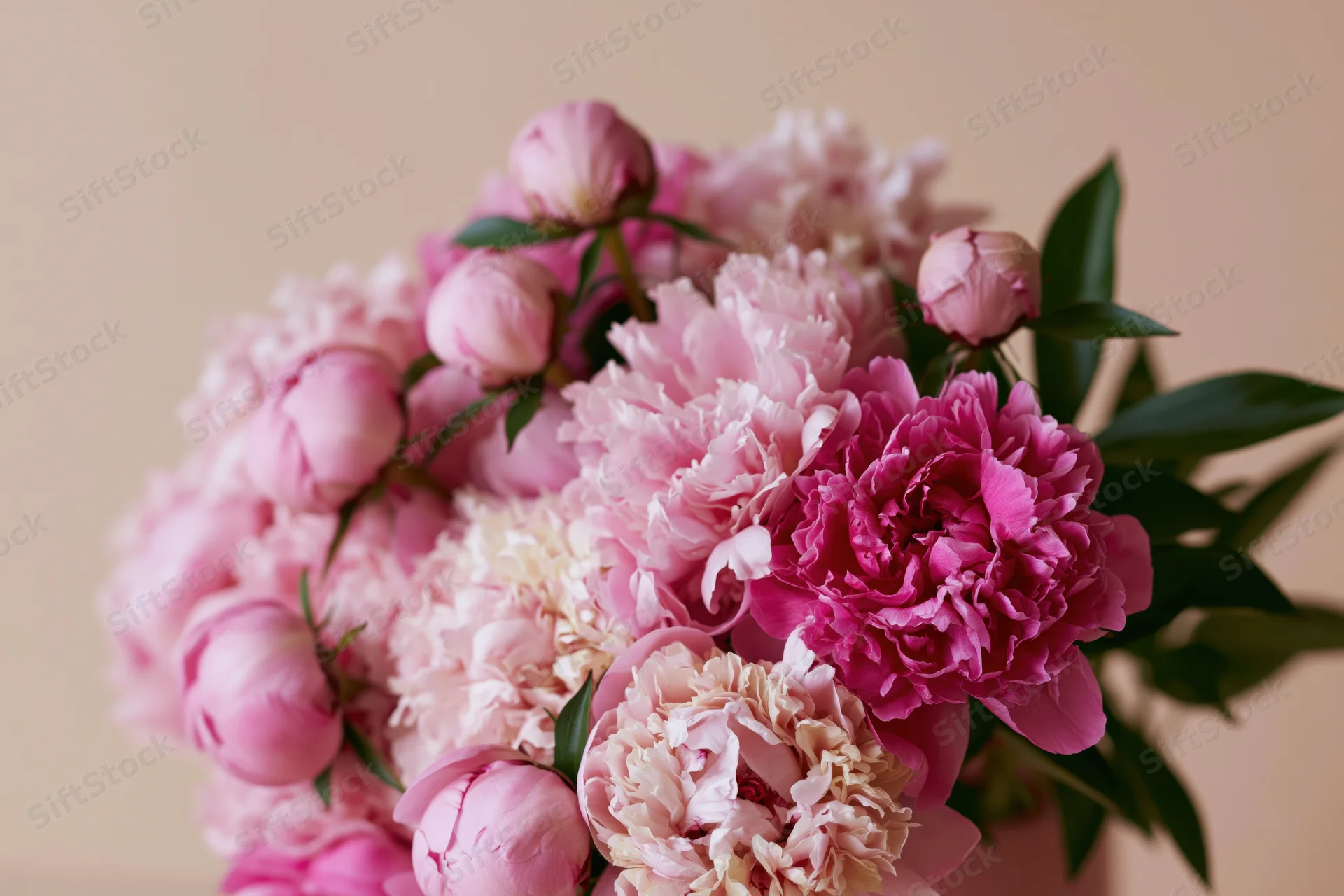Close-up of a dense bouquet of pink peonies in various stages of bloom with green leaves against a soft beige background