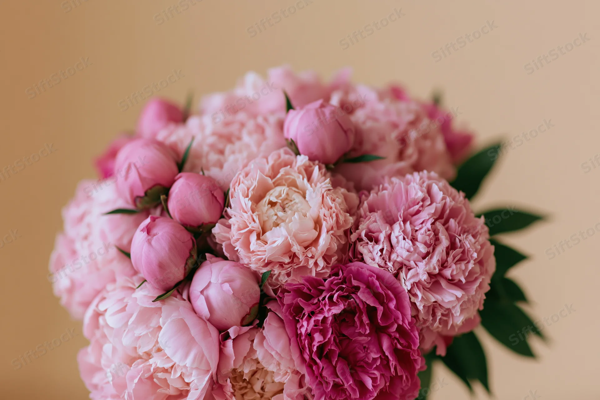 Close-up of a dense bouquet of pink peonies in various stages of bloom with green leaves against a soft beige background
