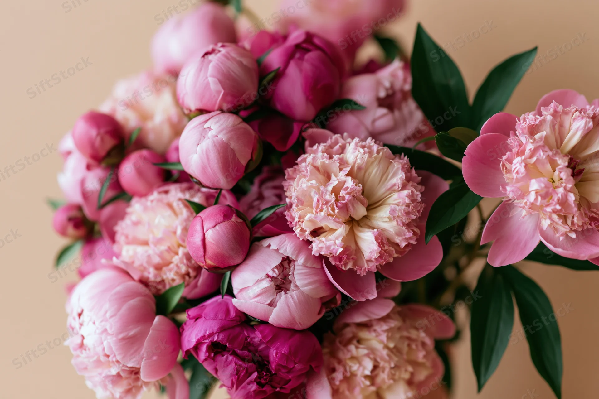 Close-up of a dense bouquet of pink peonies in various stages of bloom with green leaves against a soft beige background