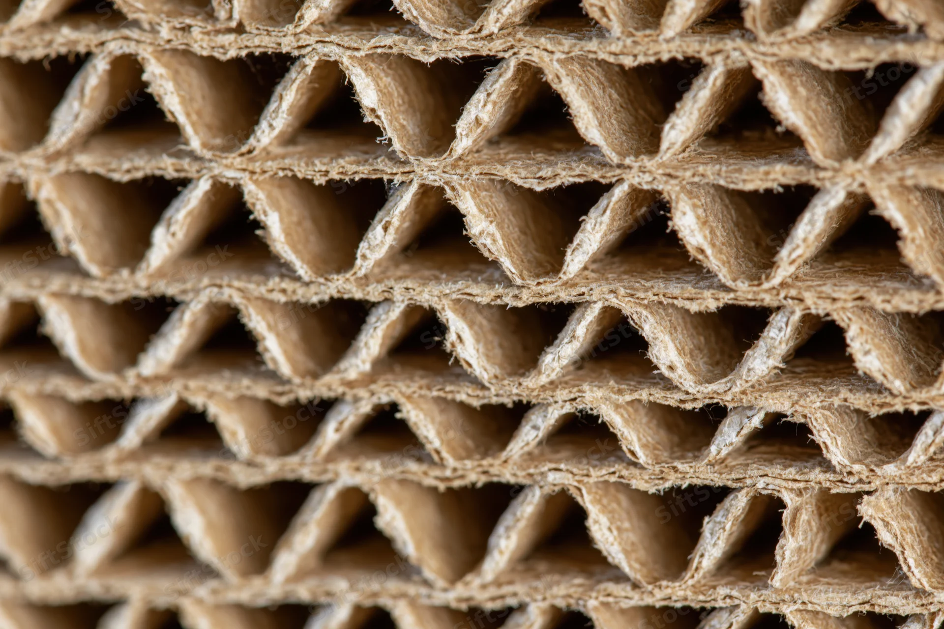 Closeup of corrugated cardboard cross-section showing fluted layers and fibrous texture