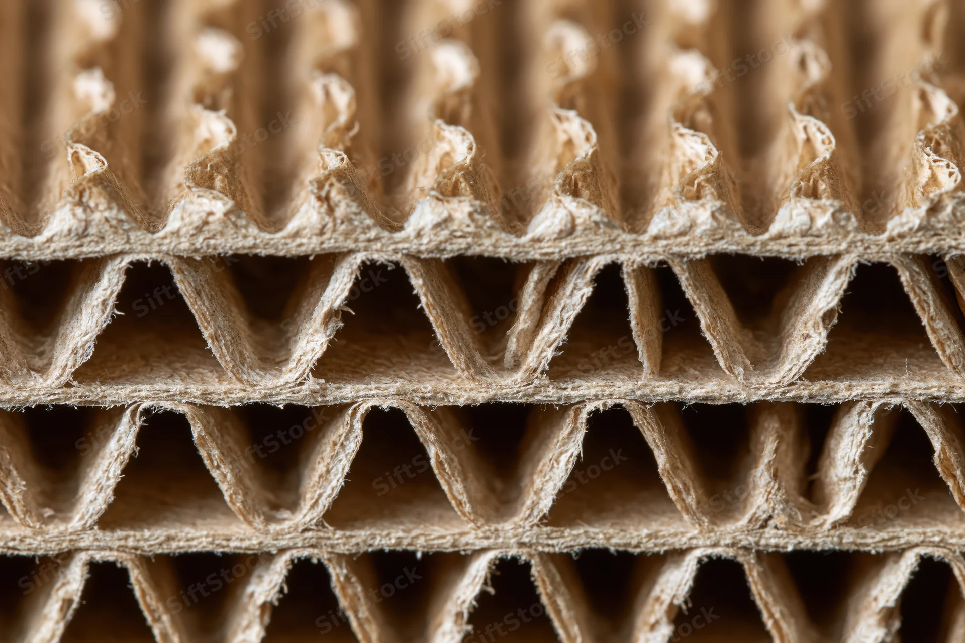 Closeup of corrugated cardboard cross section showing fluted layers and fiber texture