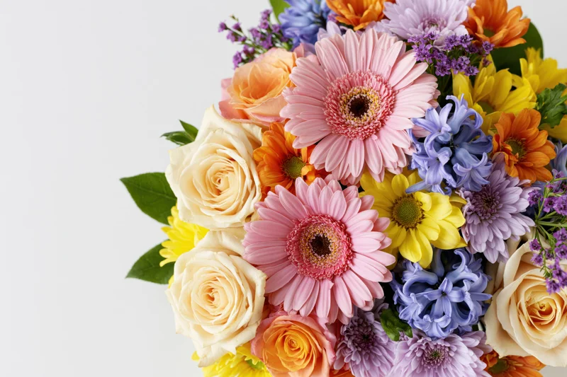 Dense mixed flower arrangement clustered along the left edge with copyspace on the right