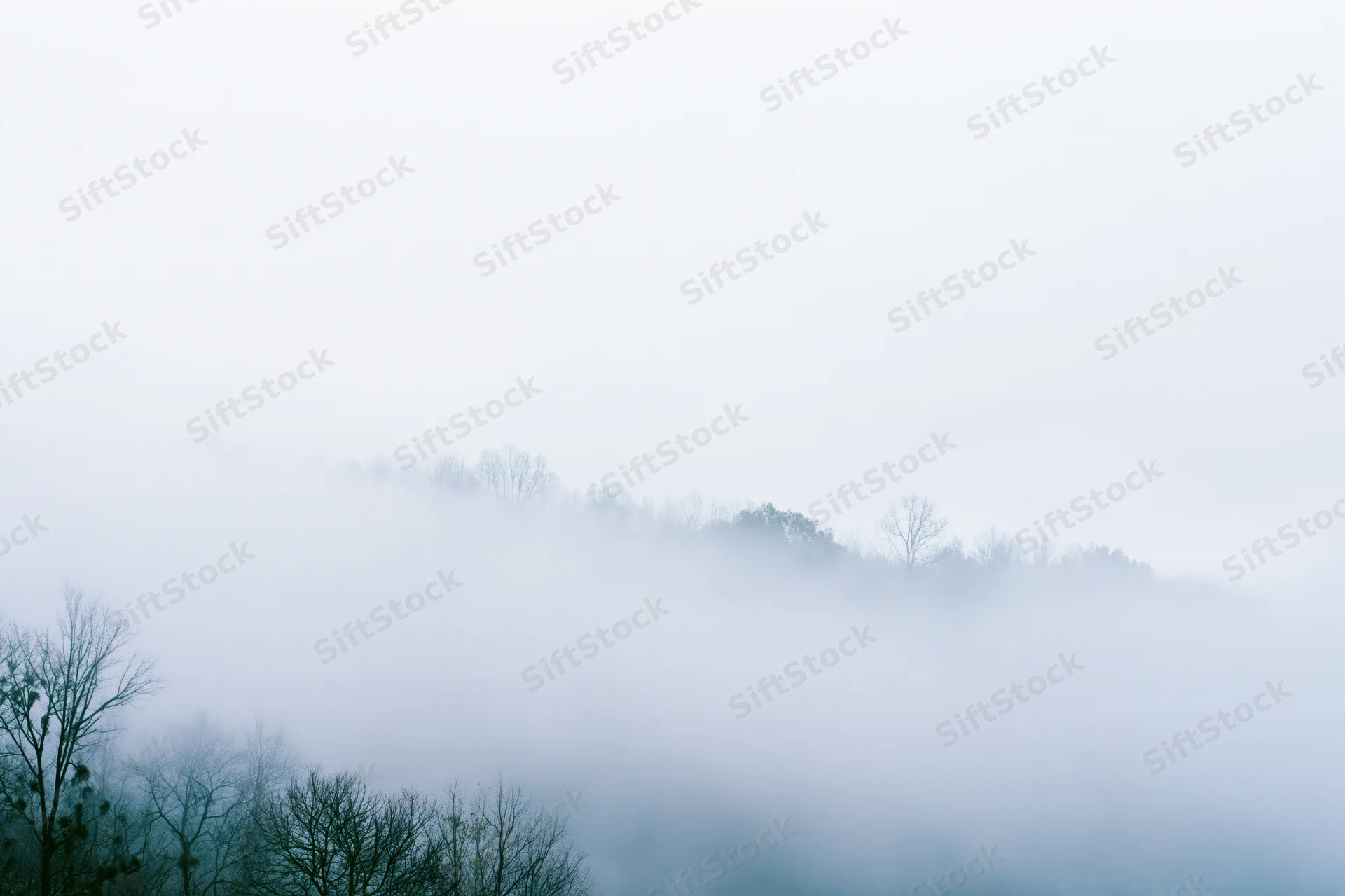 Dense fog blankets a treeline with bare trees visible above the mist in a serene morning landscape
