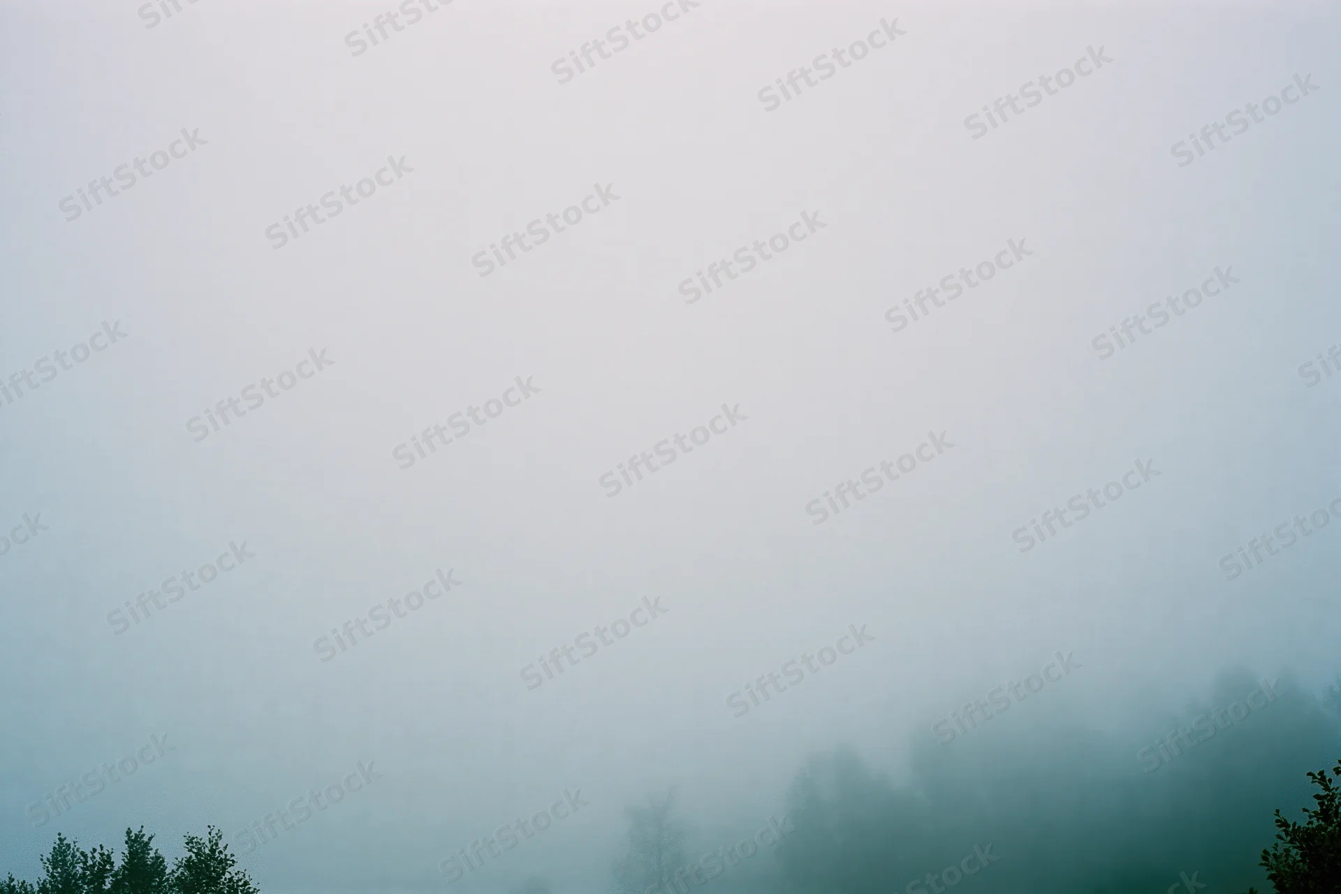 Dense fog over a treeline in a wide landscape view at dawn
