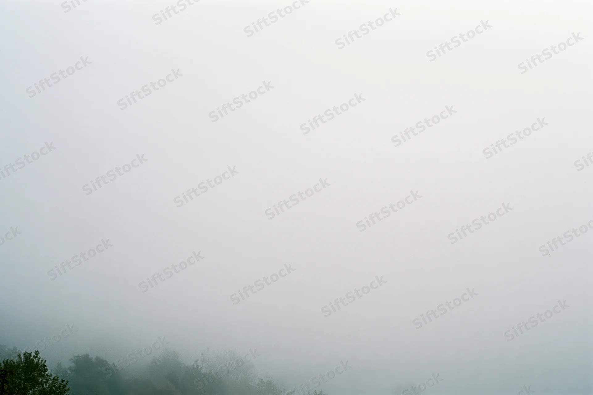 Dense fog covering a treeline in a wide landscape view at dawn