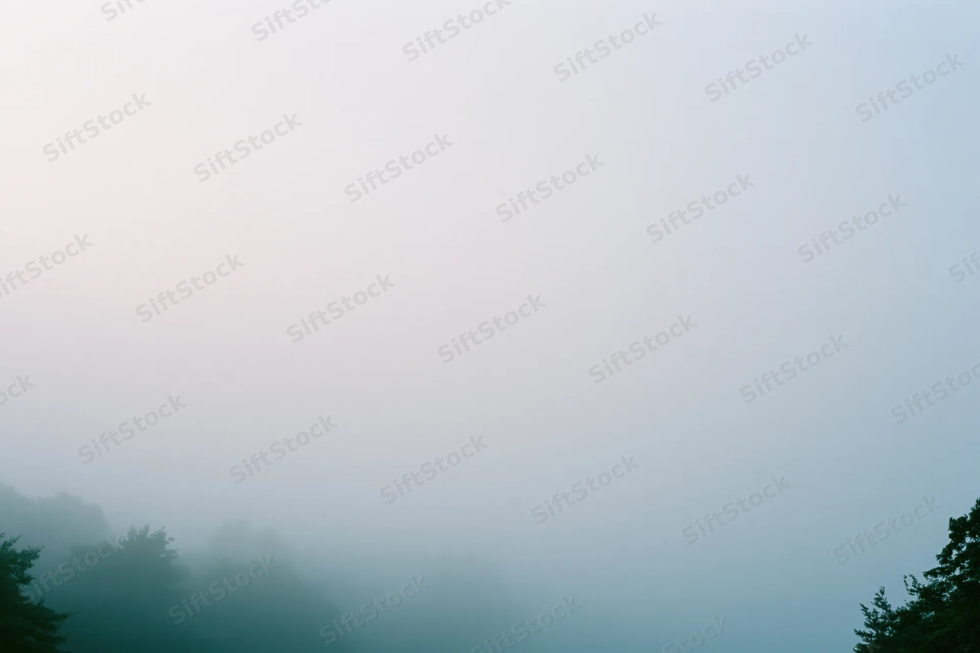 Dense fog over a forest treeline at dawn in a wide landscape view