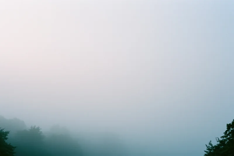 Dense fog over a forest treeline at dawn in a wide landscape view