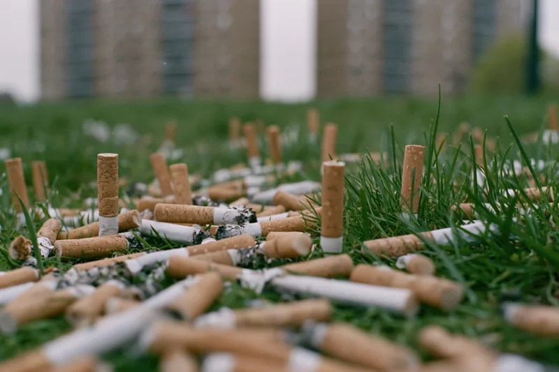 Discarded cigarette butts scattered densely across green grass in an urban park setting